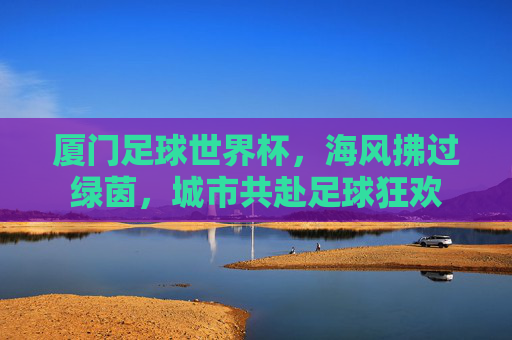 厦门足球世界杯,海风拂过绿茵,城市共赴足球狂欢