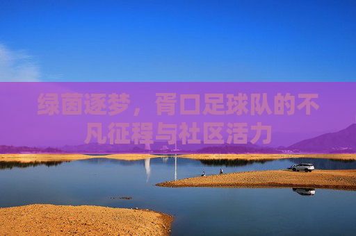 绿茵逐梦,胥口足球队的不凡征程与社区活力