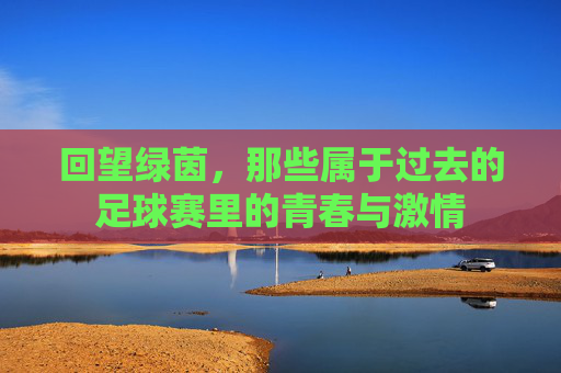 回望绿茵,那些属于过去的足球赛里的青春与激情