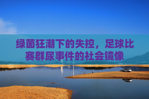绿茵狂潮下的失控,足球比赛群尿事件的社会镜像