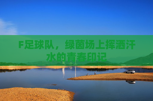 F足球队,绿茵场上挥洒汗水的青春印记