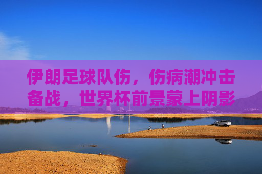 伊朗足球队伤,伤病潮冲击备战,世界杯前景蒙上阴影