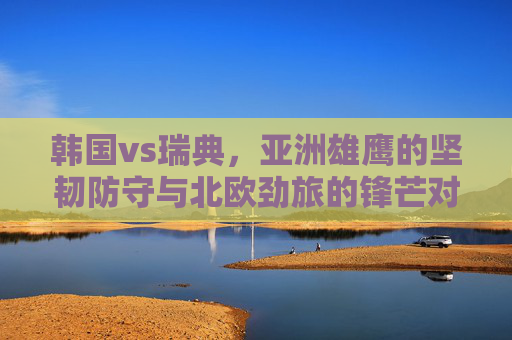 韩国vs瑞典，亚洲雄鹰的坚韧防守与北欧劲旅的锋芒对决——世界杯赛场上的战术博弈与精神碰撞