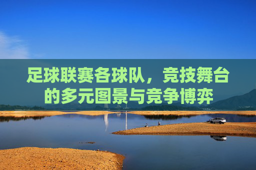 足球联赛各球队,竞技舞台的多元图景与竞争博弈