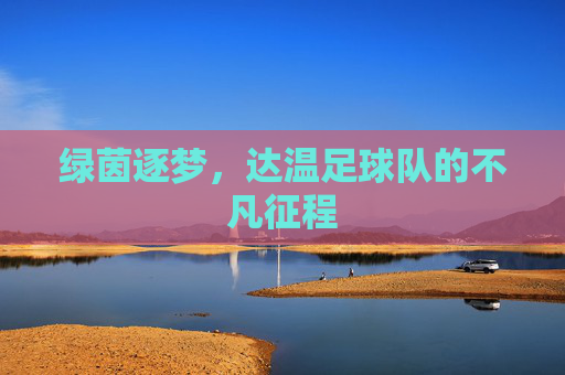 绿茵逐梦，达温足球队的不凡征程