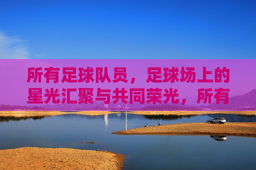 所有足球队员,足球场上的星光汇聚与共同荣光,所有足球队员,足球场上的星光汇聚与共同荣光