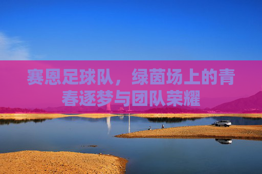 赛恩足球队,绿茵场上的青春逐梦与团队荣耀