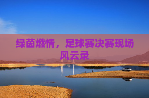 绿茵燃情，足球赛决赛现场风云录