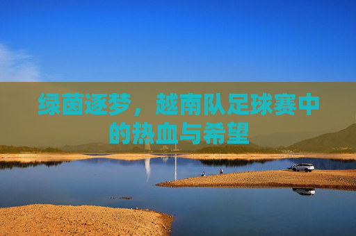 绿茵逐梦,越南队足球赛中的热血与希望