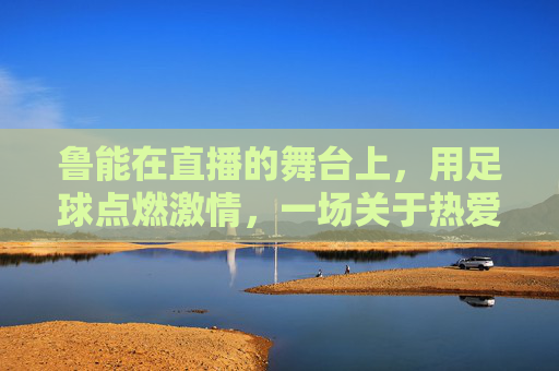 鲁能在直播的舞台上,用足球点燃激情,一场关于热爱与传承的足球盛宴