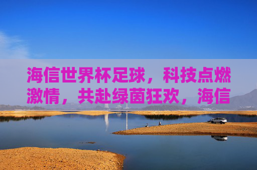 海信世界杯足球，科技点燃激情，共赴绿茵狂欢，海信世界杯，科技点燃激情，共赴绿茵狂欢