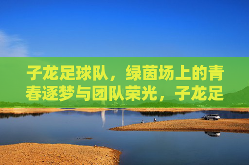 子龙足球队,绿茵场上的青春逐梦与团队荣光,子龙足球队,绿茵场上的青春逐梦与团队荣光