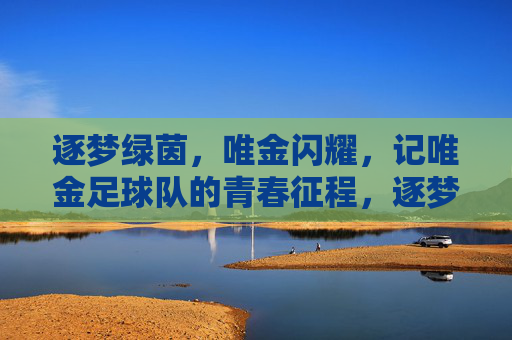 逐梦绿茵,唯金闪耀,记唯金足球队的青春征程,逐梦绿茵,唯金闪耀,记唯金足球队的青春征程