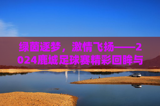 绿茵逐梦，激情飞扬——2024鹿城足球赛精彩回眸与未来展望，绿茵逐梦，激情飞扬——2024鹿城足球赛精彩回眸与未来展望