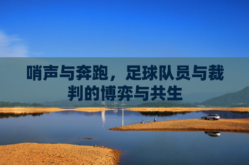 哨声与奔跑，足球队员与裁判的博弈与共生