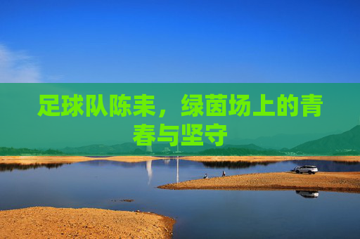 足球队陈耒,绿茵场上的青春与坚守