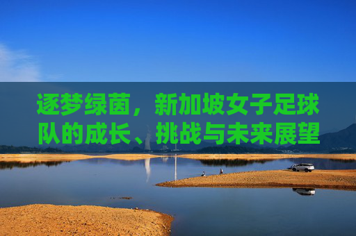 逐梦绿茵，新加坡女子足球队的成长、挑战与未来展望