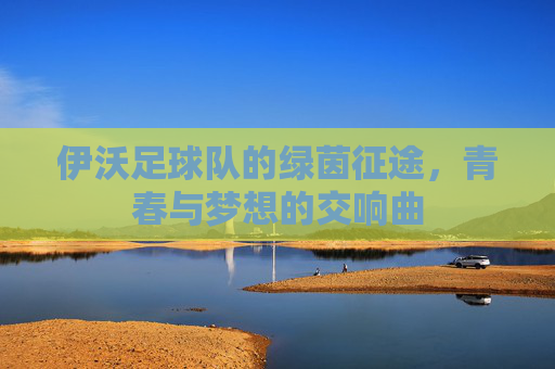 伊沃足球队的绿茵征途，青春与梦想的交响曲