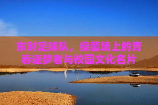 东财足球队，绿茵场上的青春逐梦者与校园文化名片