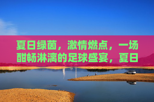 夏日绿茵，激情燃点，一场酣畅淋漓的足球盛宴，夏日绿茵，激情燃点，一场酣畅淋漓的足球盛宴