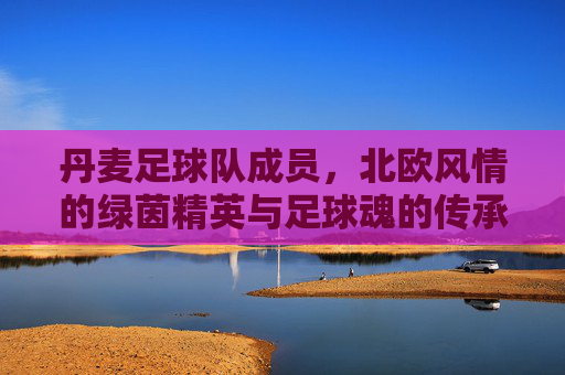 丹麦足球队成员,北欧风情的绿茵精英与足球魂的传承