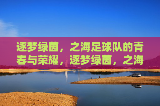逐梦绿茵，之海足球队的青春与荣耀，逐梦绿茵，之海足球队的青春与荣耀