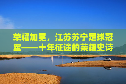 荣耀加冕，江苏苏宁足球冠军——十年征途的荣耀史诗与时代印记，荣耀加冕，江苏苏宁足球冠军——十年征途的荣耀史诗与时代印记