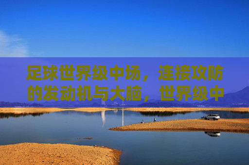 足球世界级中场,连接攻防的发动机与大脑,世界级中场,连接攻防的发动机与大脑