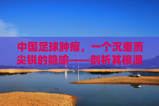 中国足球肿瘤，一个沉重而尖锐的隐喻——剖析其根源与困境，中国足球肿瘤，一个沉重而尖锐的隐喻——剖析其根源与困境