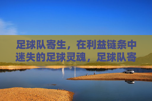 足球队寄生，在利益链条中迷失的足球灵魂，足球队寄生，利益链条下的足球灵魂迷失