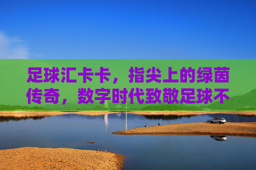 足球汇卡卡,指尖上的绿茵传奇,数字时代致敬足球不朽精神,足球汇卡卡,指尖上的绿茵传奇,数字时代致敬足球不朽精神