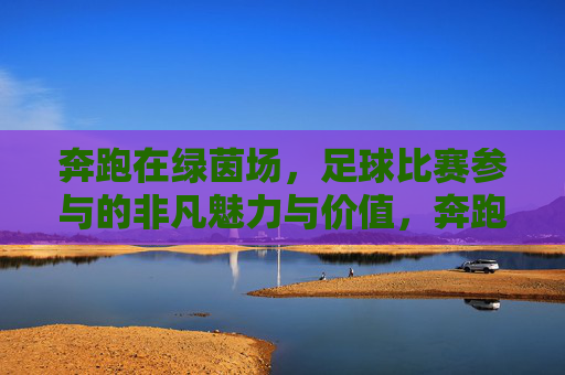 奔跑在绿茵场，足球比赛参与的非凡魅力与价值，奔跑在绿茵场，足球比赛参与的非凡魅力与价值