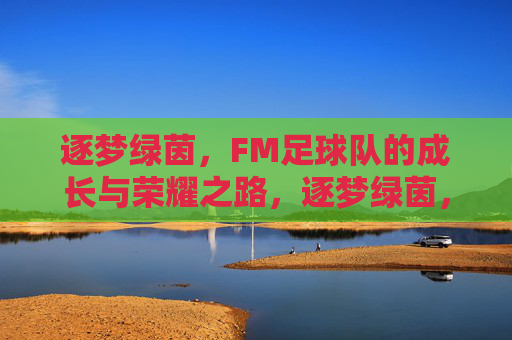 逐梦绿茵,FM足球队的成长与荣耀之路,逐梦绿茵,FM足球队的成长与荣耀之路