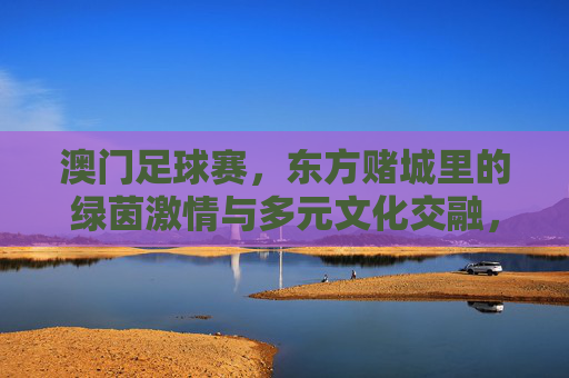 澳门足球赛，东方赌城里的绿茵激情与多元文化交融，澳门足球赛，东方赌城里的绿茵激情与多元文化交融