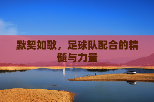 默契如歌，足球队配合的精髓与力量