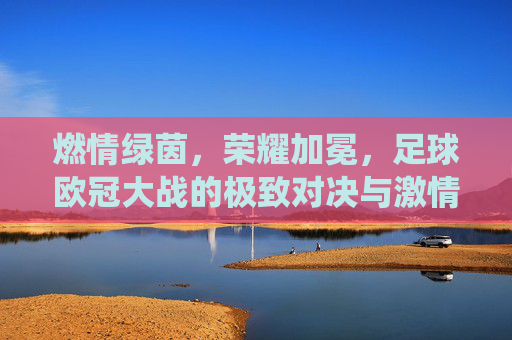 燃情绿茵，荣耀加冕，足球欧冠大战的极致对决与激情演绎