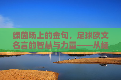 绿茵场上的金句，足球欧文名言的智慧与力量——从经典到现代的箴言传承，绿茵场上的金句，足球欧文名言的智慧与力量——从经典到现代的箴言传承