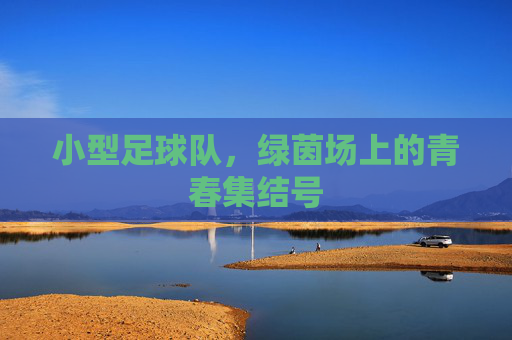 小型足球队,绿茵场上的青春集结号