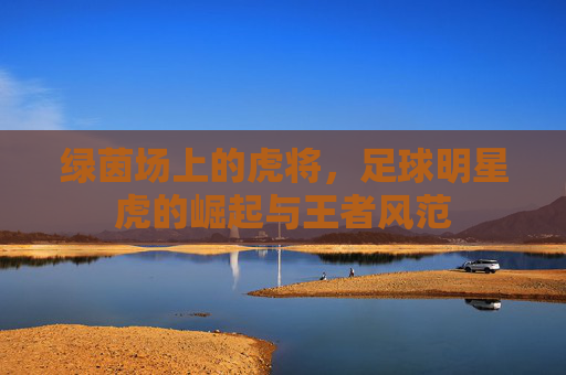 绿茵场上的虎将,足球明星虎的崛起与王者风范