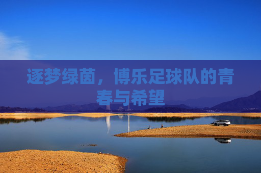 逐梦绿茵,博乐足球队的青春与希望