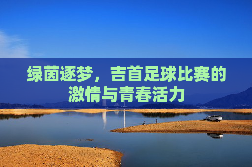 绿茵逐梦，吉首足球比赛的激情与青春活力