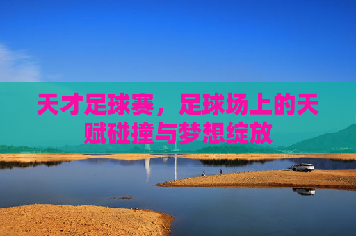 天才足球赛，足球场上的天赋碰撞与梦想绽放