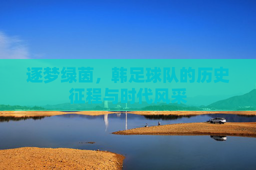 逐梦绿茵,韩足球队的历史征程与时代风采