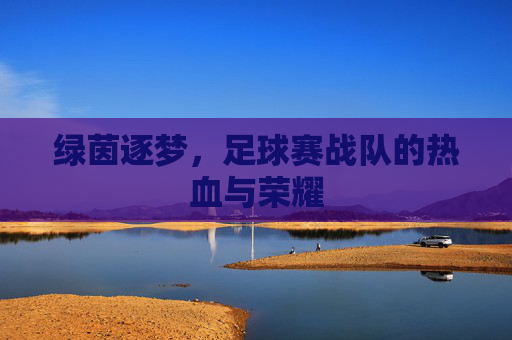 绿茵逐梦，足球赛战队的热血与荣耀