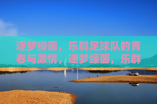 逐梦绿茵，乐群足球队的青春与激情，逐梦绿茵，乐群足球队的青春与激情