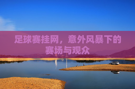 足球赛挂网，意外风暴下的赛场与观众