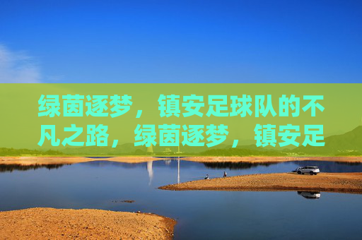 绿茵逐梦，镇安足球队的不凡之路，绿茵逐梦，镇安足球队的不凡之路