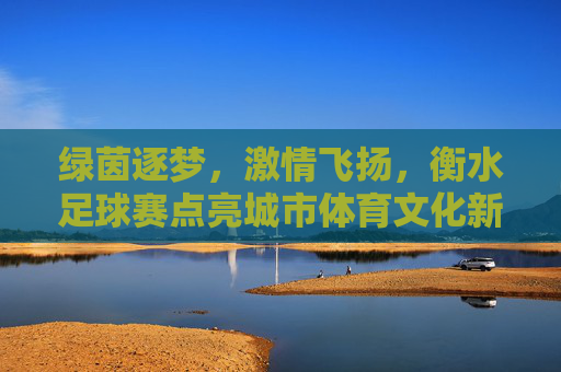 绿茵逐梦，激情飞扬，衡水足球赛点亮城市体育文化新篇章