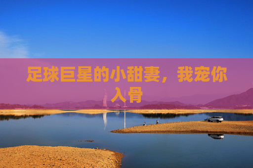 足球巨星的小甜妻，我宠你入骨