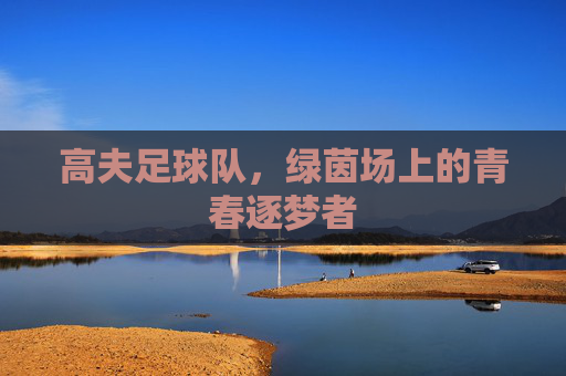 高夫足球队，绿茵场上的青春逐梦者